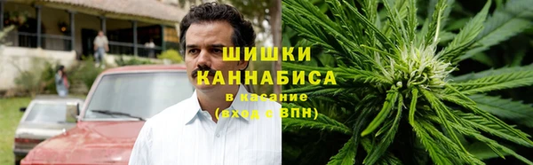 не бодяженный Горно-Алтайск