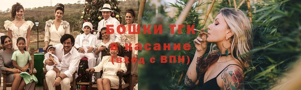 не бодяженный Горно-Алтайск