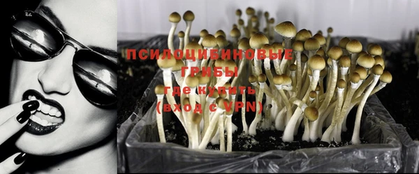 спайс Горнозаводск